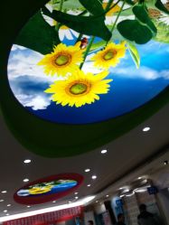 -北京大学第一医院妇产儿童医院