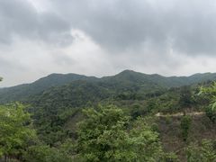 -世间香境·七溪地