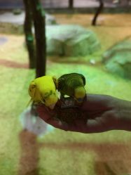 -酷嗒动物文化乐园(cutezoo西溪乐天城店)