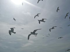 -长岛南北长山旅游景区