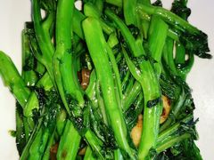 -顺德了能馆(虎门店)