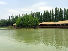 -秀丽东方
