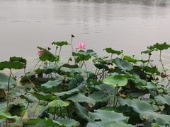 -尚贤河湿地