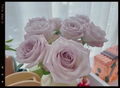 -倩极·精研痘敏肌管理