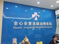 -全心全意连锁动物医院·微创中心·内科急重症·心脏专科(丰管路店)