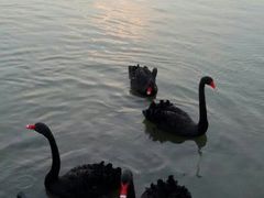 外景-上海怡沁园度假酒店