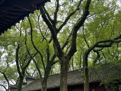 -天一阁博物院
