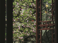 -六出私塾LiuChu•成人美术书法系统课程专业画室(熊婆婆的花园店)