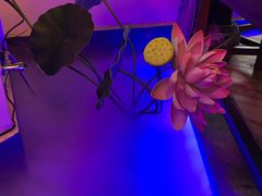 -今朝桃花醉川菜小酒馆(龙湖天街店)