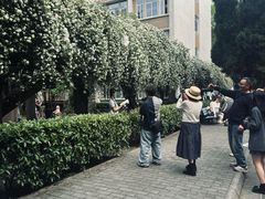 -四川大学(望江校区)