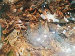 -V-ONE西雅图海鲜自助餐厅(仓山万达广场店)