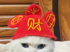 -簋街