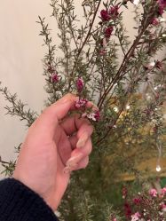 -Fanni美甲美睫皮肤管理