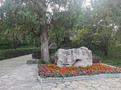 -香山公园