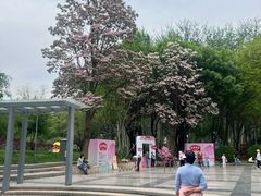 -仁和公园(顺义区)