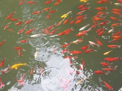 -包公祠