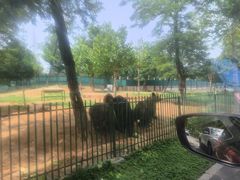 -秦皇岛野生动物园