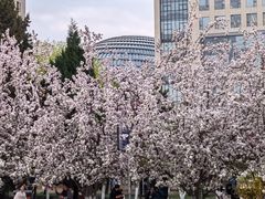 -元大都城垣遗址公园