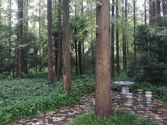 怡沁园度假村-上海怡沁园度假酒店
