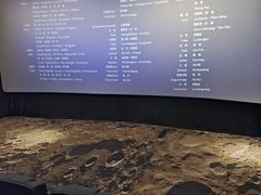 -金棕榈新百世纪影城
