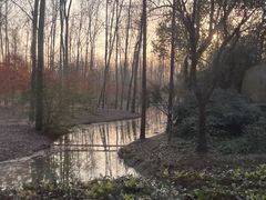 -合肥滨湖国家森林公园