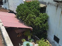 -普朗姆生蚝吧(原建国路店)