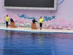 -北戴河圣蓝海洋公园