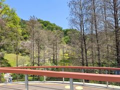 -云溪植物园