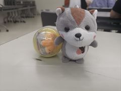 -艾贝尔宠物医院·宠保定点·超声绝育·免疫点(樱花路店)
