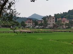 -红山村