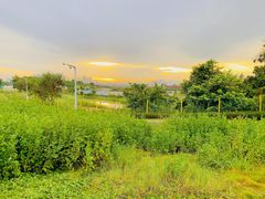 -光明小镇欢乐田园