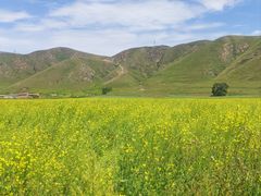 -紫泥369粗粮季(西环店)