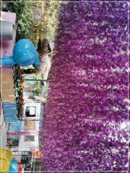 -萌宠亲子动物乐园(槐房万达店)