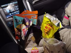 -枫花园汽车电影院(朝阳公园店)