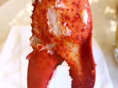 -大东方海鲜酒楼(小武基桥店)