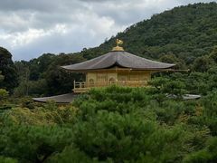 -苏木山森林公园