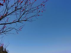 -石潭村