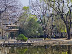 -玲珑塔公园