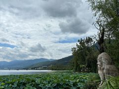 -西昌邛海湿地