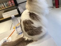 -猫苑生活馆