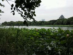 -金鸡湖桃花岛