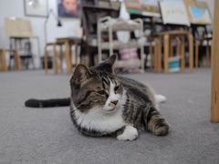 -青沐画室·专业美术培训