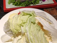 大白菜-南门四季铜锅涮肉(左家庄店)