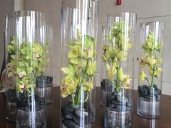 -逸廊大堂吧(三亚海棠湾万丽度假酒店)