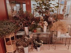 -二酉书店TOYOU BOOKS