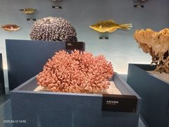 -中国湿地博物馆
