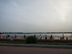 -丁香湖公园