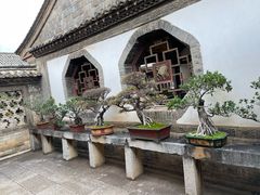 -朱家花园