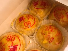 -百年泰康鲜肉月饼