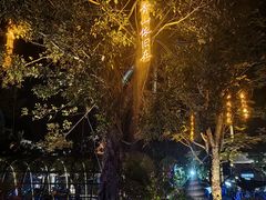 -三亚红色娘子军演艺公园景区